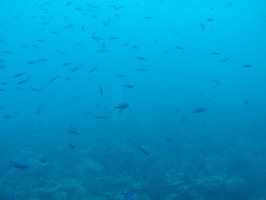 Grenada Submarine6